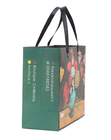 Printed Coloured Paper Carrier Bags Purse Packaging Rivet Flat Paper Handle